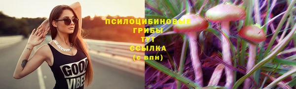 экстази Нея