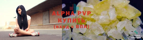 apvp Вяземский