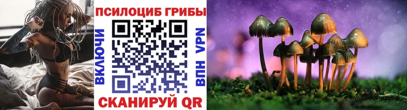 наркота  Муравленко  Псилоцибиновые грибы мухоморы 