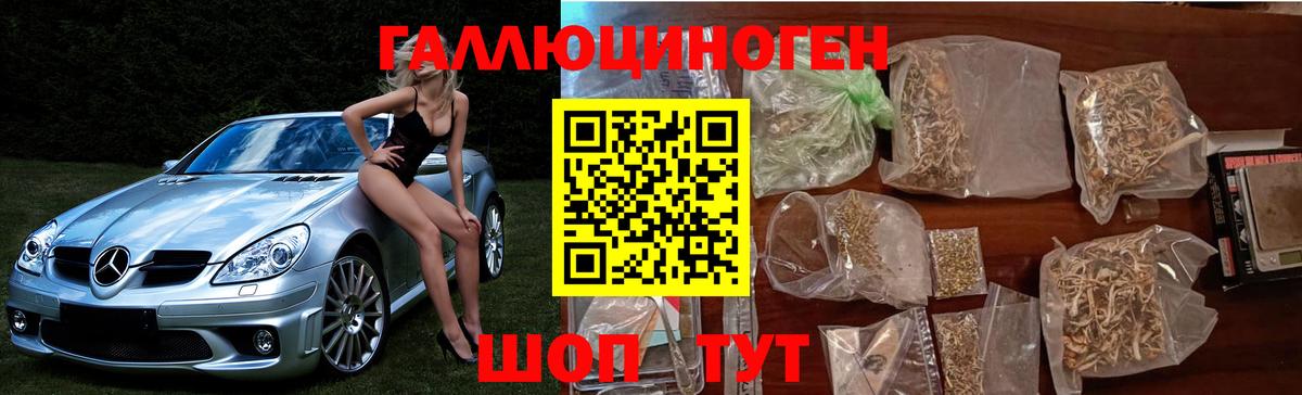 Галлюциногенные грибы Psilocybe Муравленко