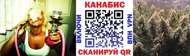 где можно купить   Муравленко  Бошки марихуана конопля 